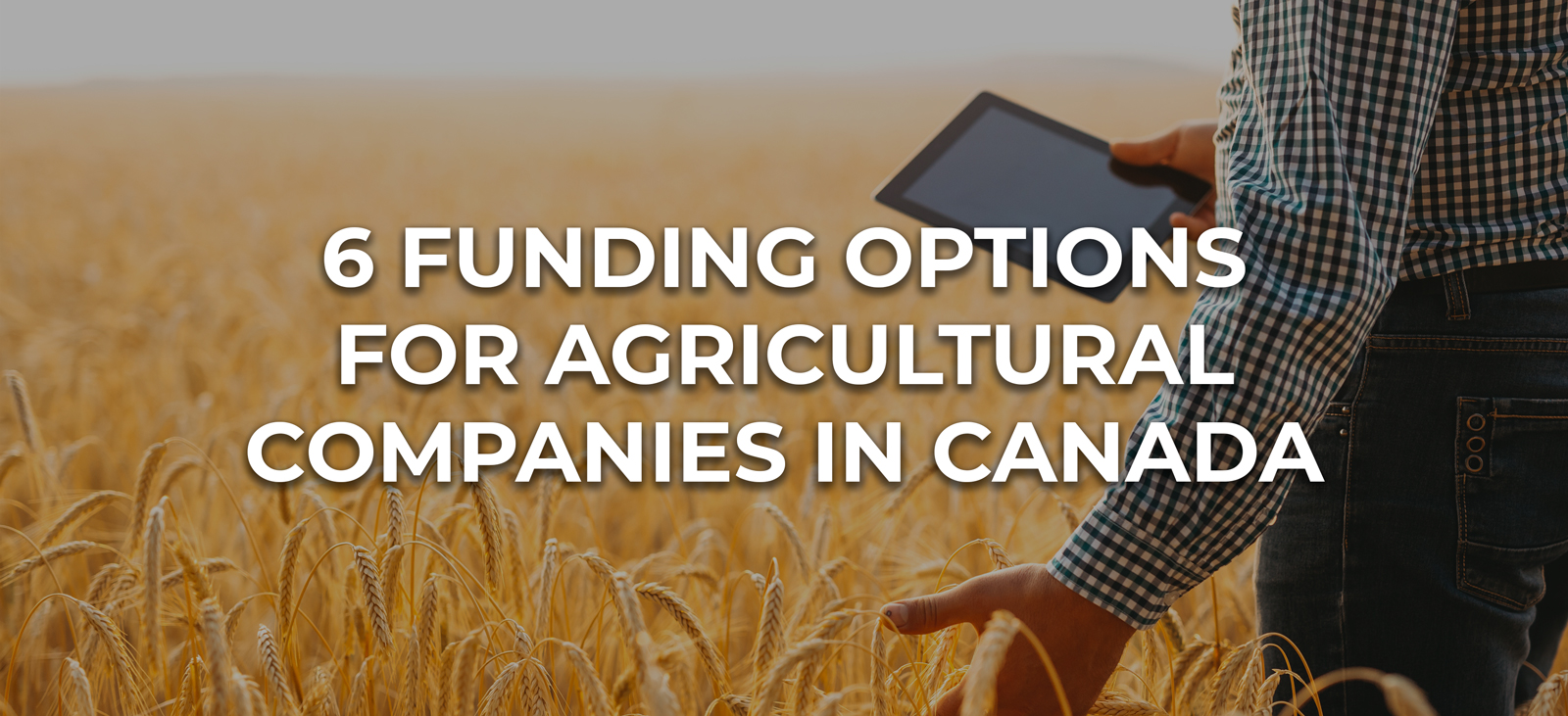 6-funding-options-for-agricultural-companies-in-canada-easly