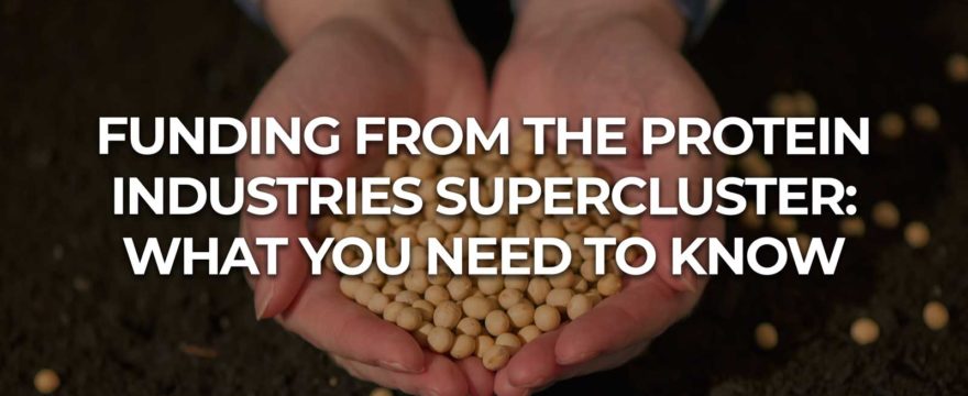 Hands holding high-protein crops.