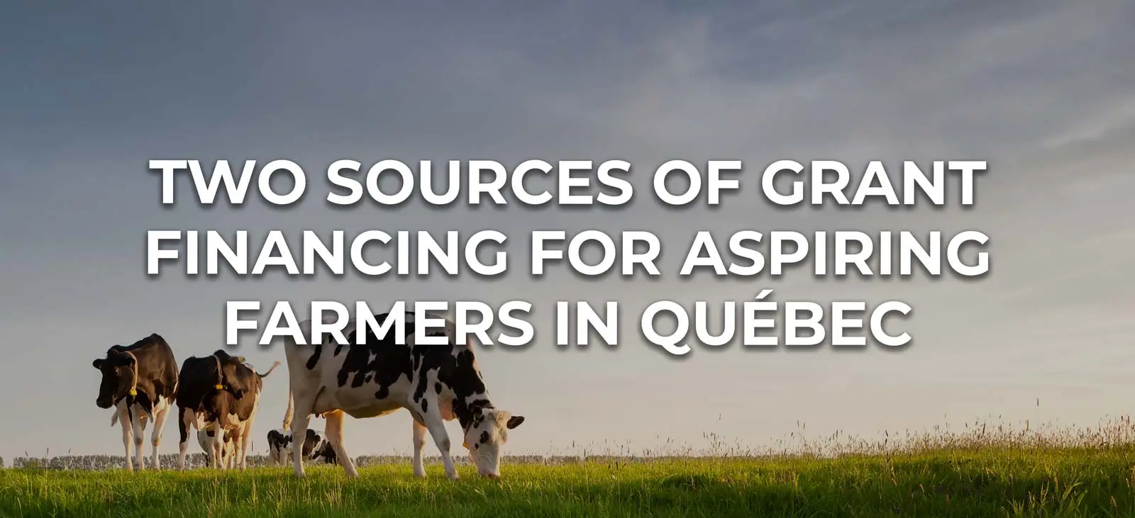grant funding for farmers in Canada.
