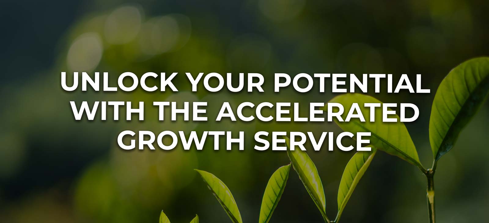 Unlock your potential with the Accelerated Growth Service
